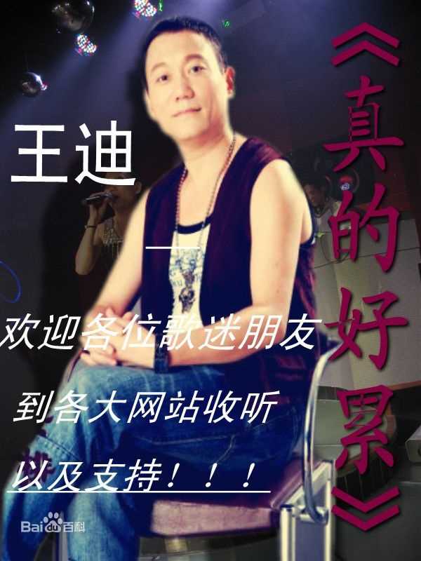 王迪著名歌星专辑图片素颜照相册