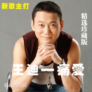王迪著名歌星专辑图片素颜照相册
