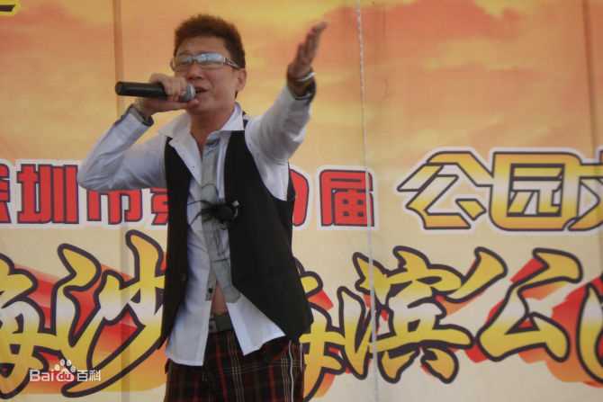 王迪著名歌星参加各种大型演出性感图片壁纸