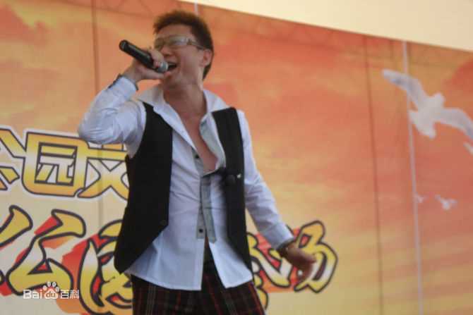 王迪著名歌星参加各种大型演出性感图片壁纸