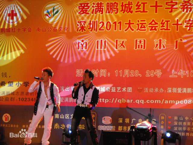 王迪著名歌星参加各种大型演出性感图片壁纸