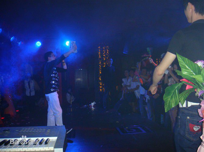 王迪著名歌星参加各种大型演出性感图片壁纸