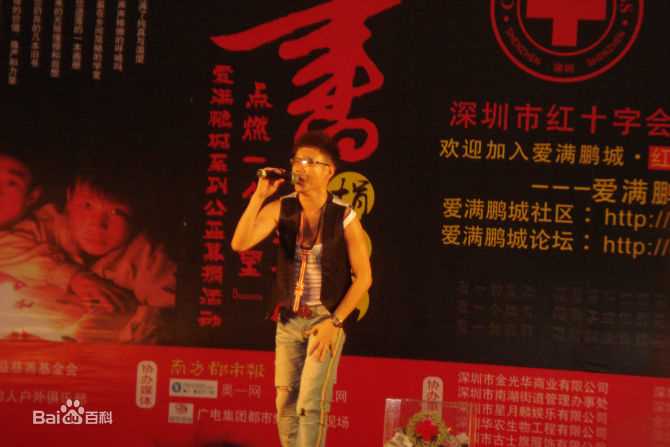 王迪著名歌星参加各种大型演出性感图片壁纸