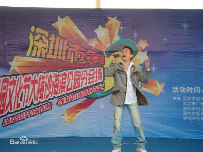 王迪著名歌星参加各种大型演出性感图片壁纸