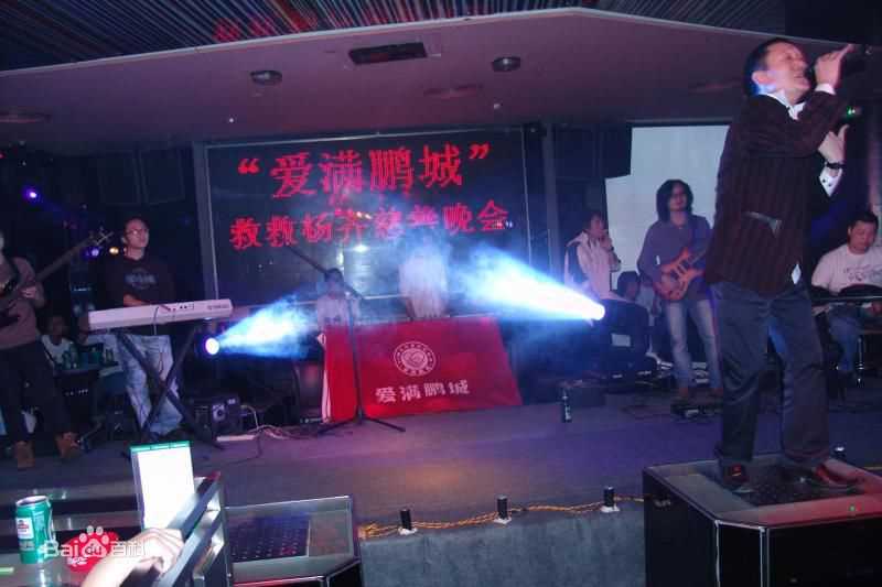 王迪公益素颜照壁纸