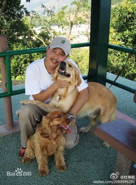 杜燕歌香港著名配音演员图册