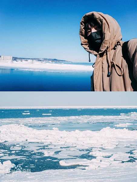 猫的树(Cattree)人物图册生活照