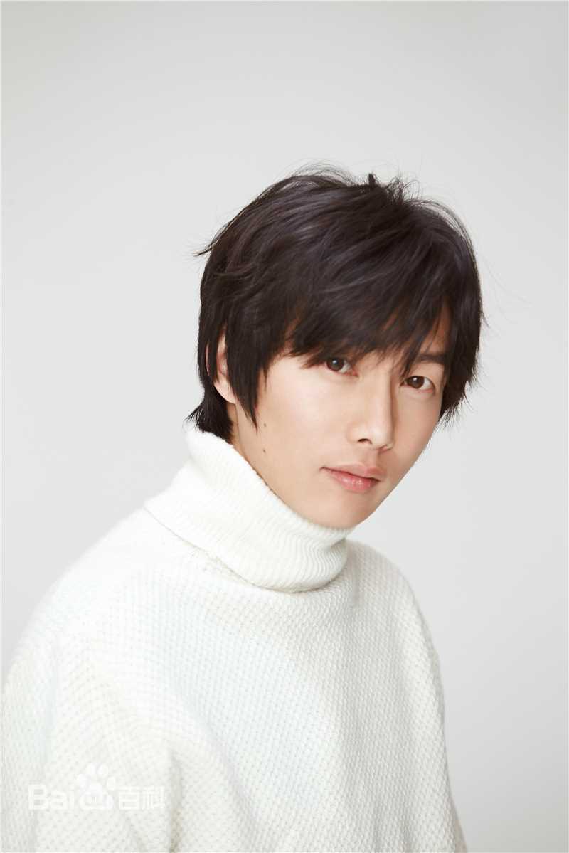 最新猫的树(Cattree)壁纸