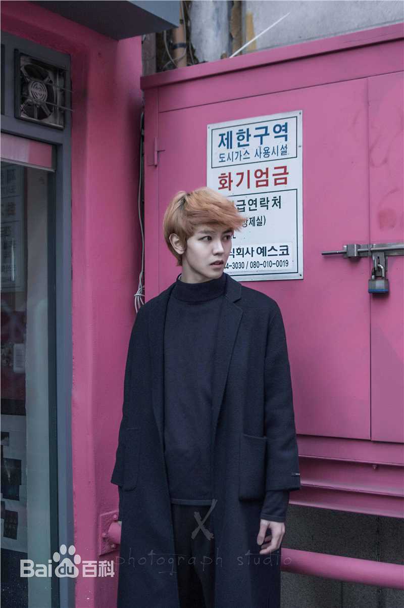 戴景耀精选图册