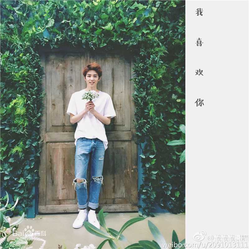 戴景耀精选图册