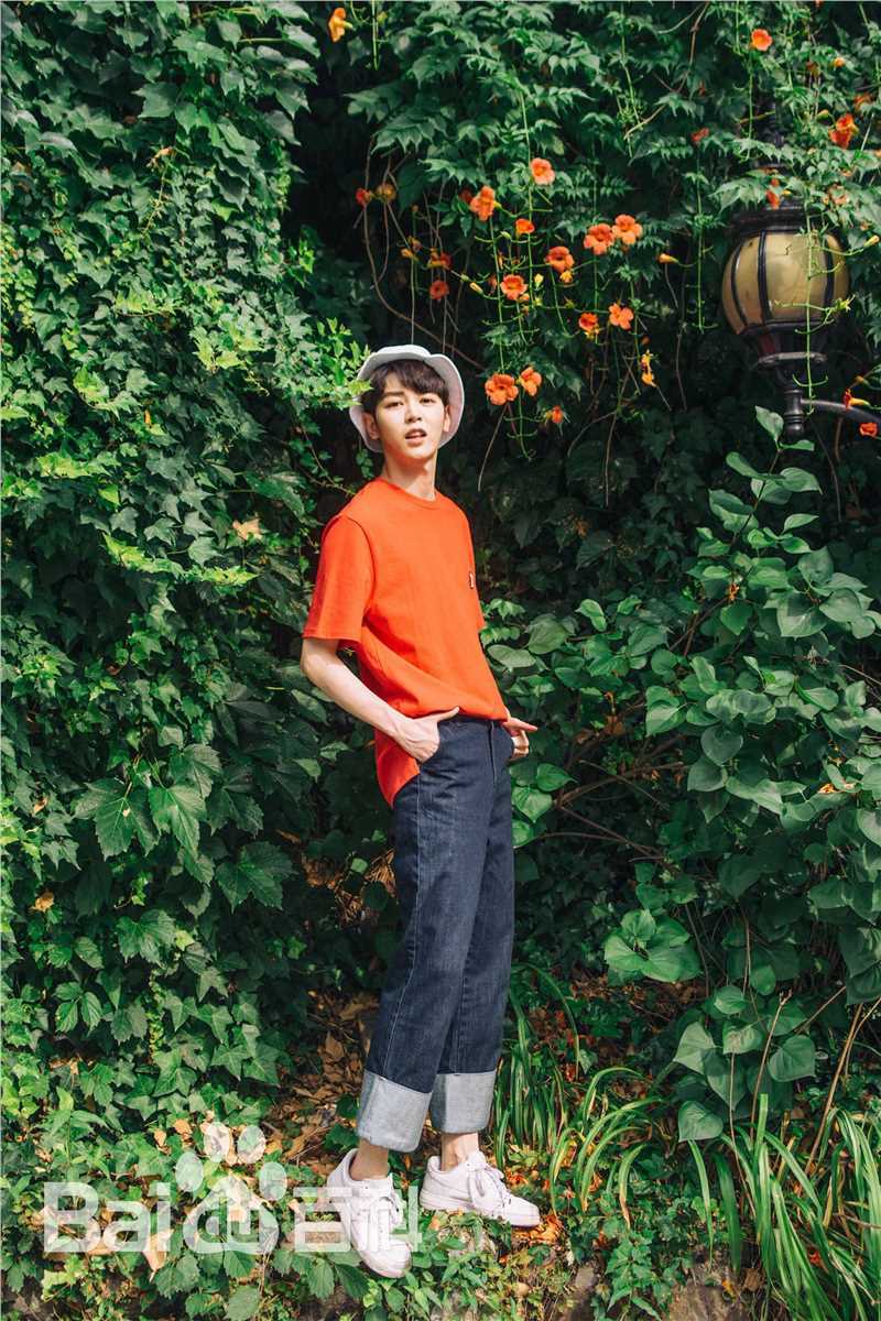 戴景耀精选图册