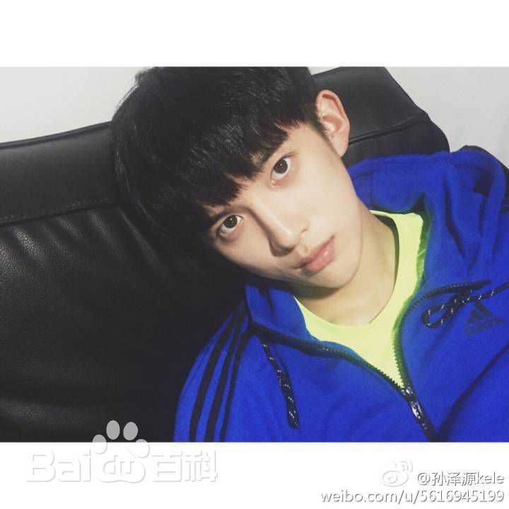 孙泽源精选图册