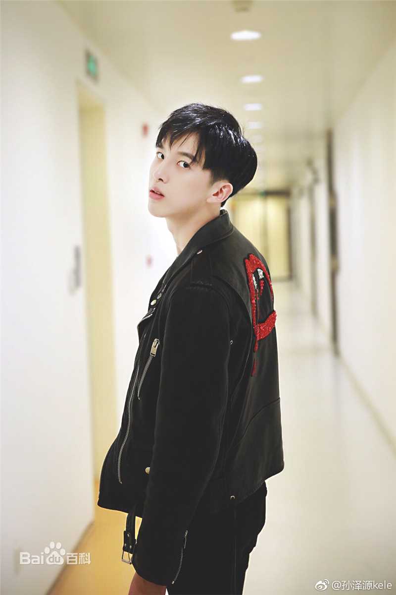 孙泽源精选图册