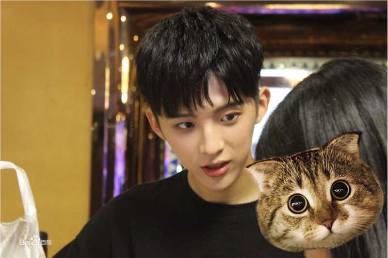 孙泽源精选图册