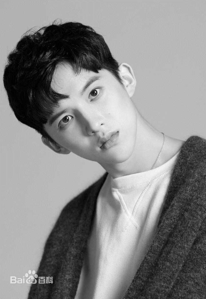 孙泽源精选图册