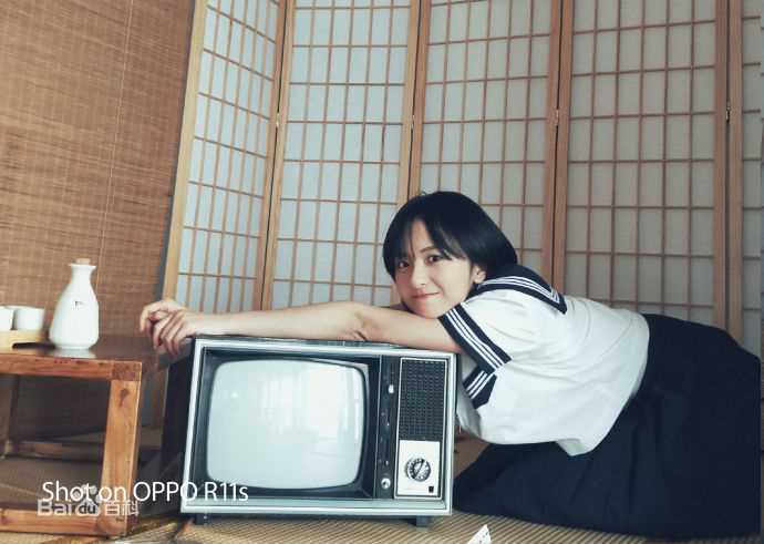 厉嘉琪精选图册