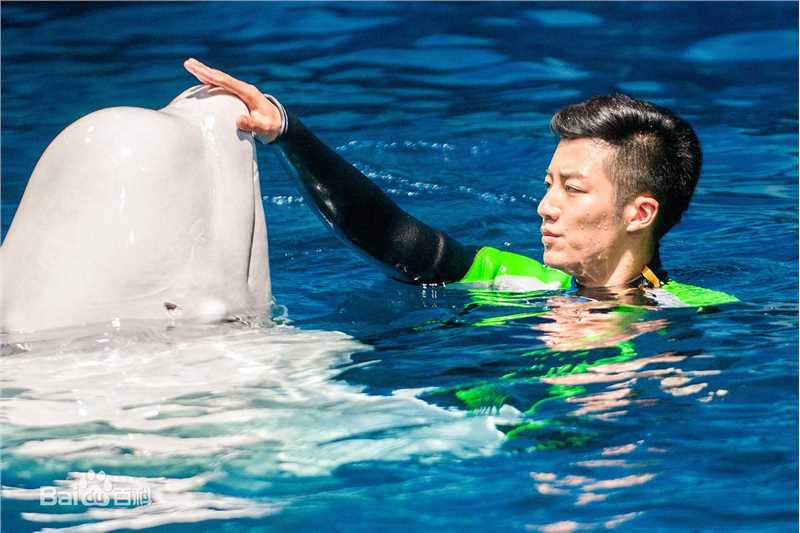 王燕阳高清剧照