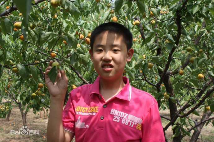 最优质邵帅生活照