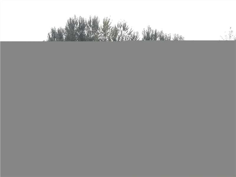 李昊瀚《男人花》最新剧照