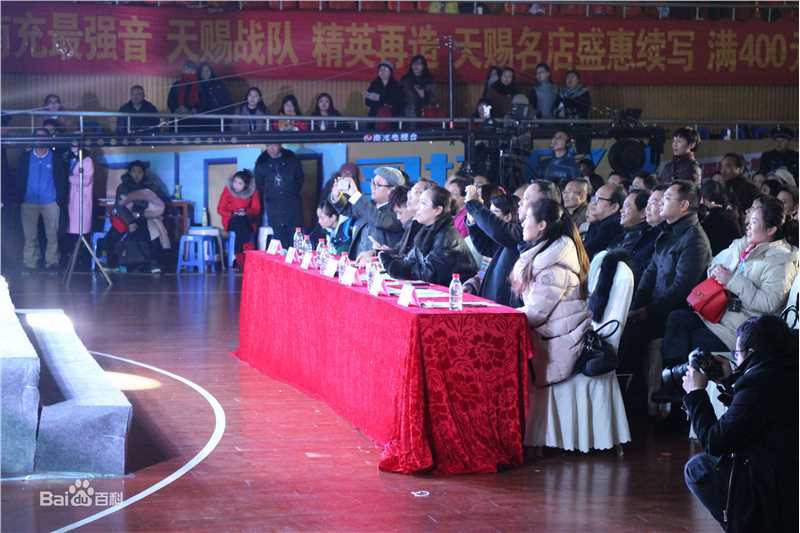 陈童(Charlie)2015南充最强音性感图片壁纸