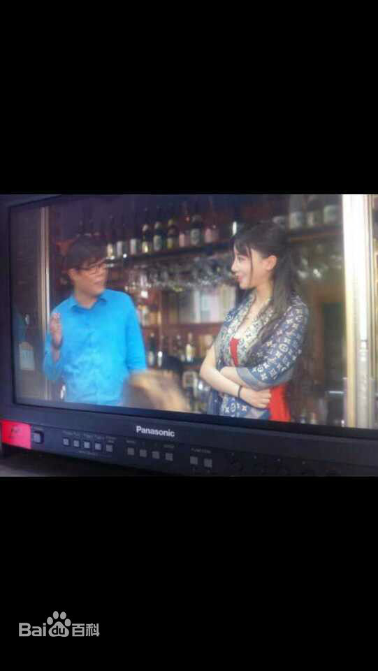 侍宣如电视最全剧照