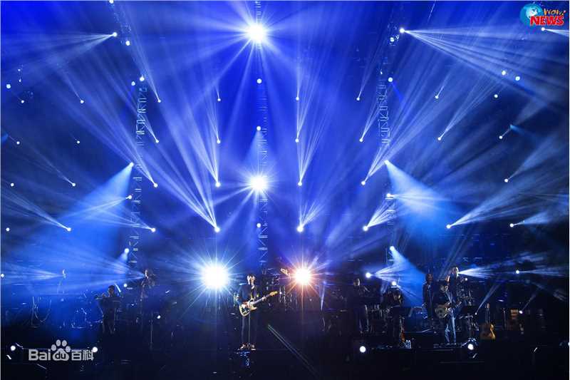 李荣浩(Youngho Lee / Ronghao Li)有理想演唱会性感图片图集