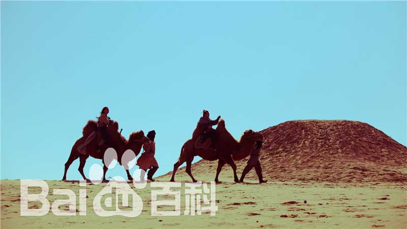 最优质王岗岗在电影《侠捕》中的相册