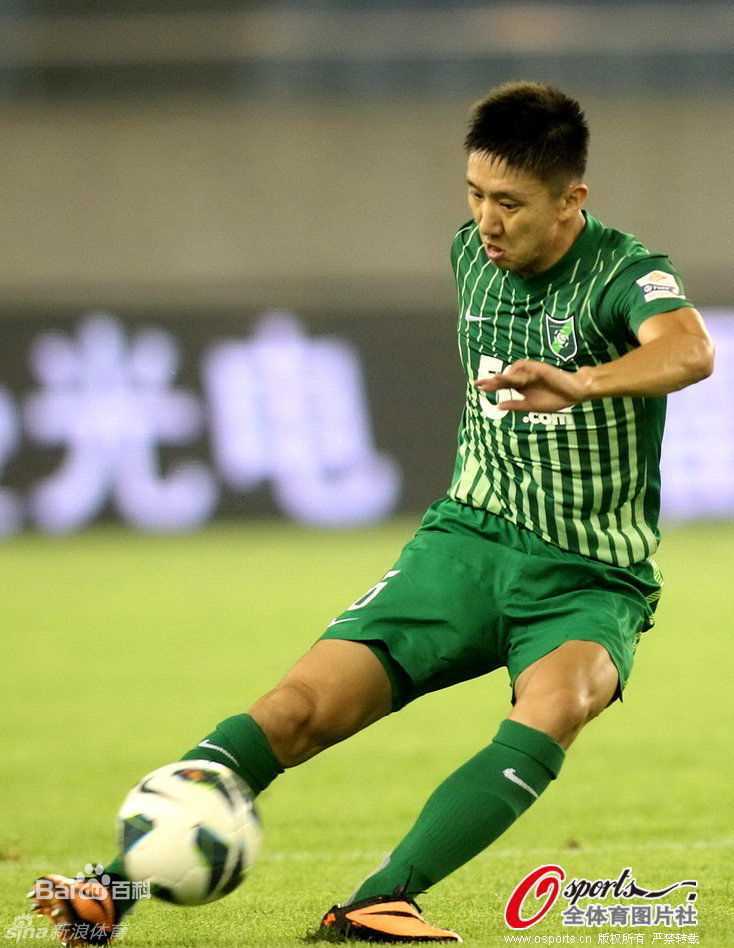 高迪2013赛季中超联赛上的图片图集