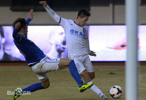 高迪绿地申花 图册