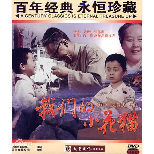 高清赵抒音图片