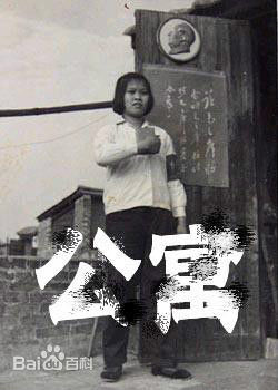 高清赵抒音图片