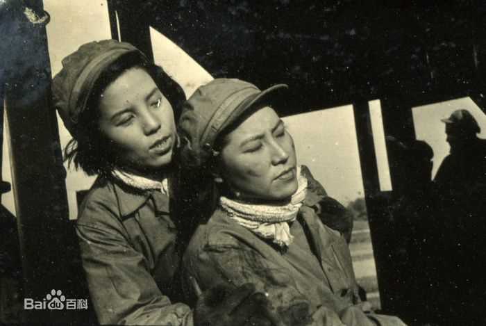 高清赵抒音图片