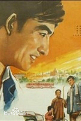 高清赵抒音图片