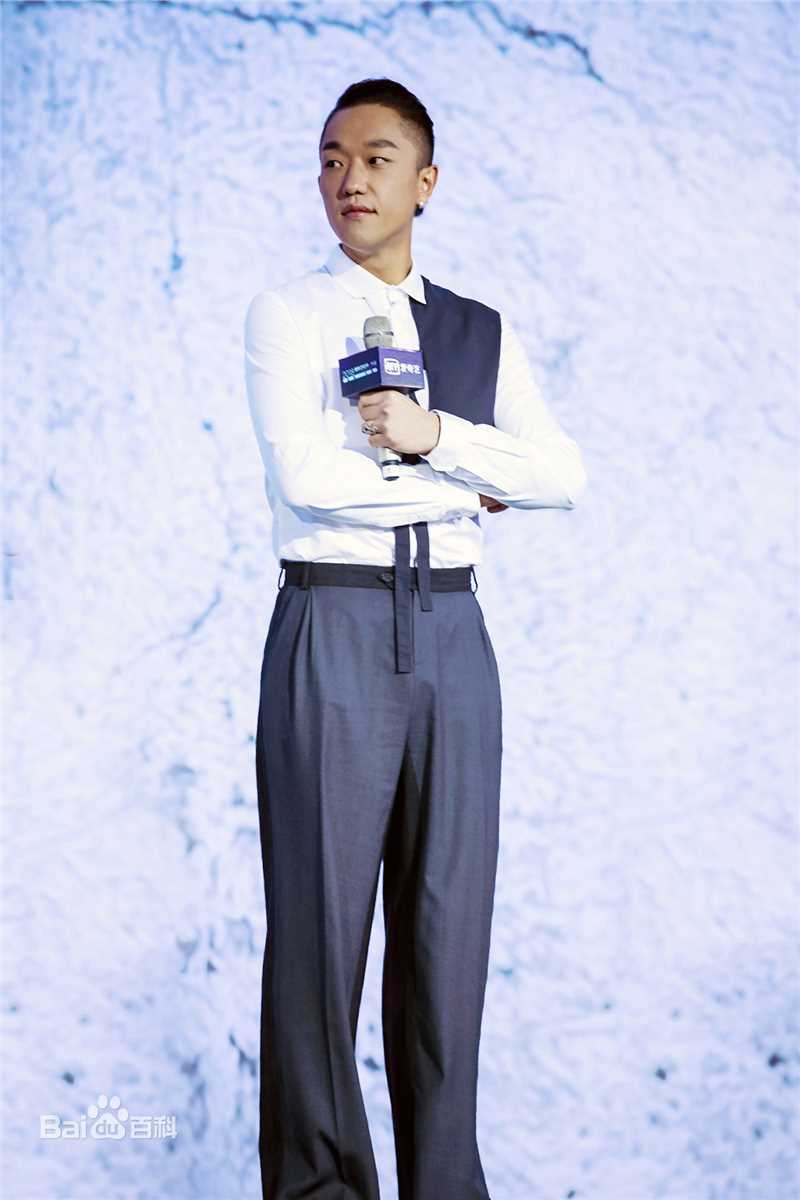 孟阿赛爱奇艺世界大会图册