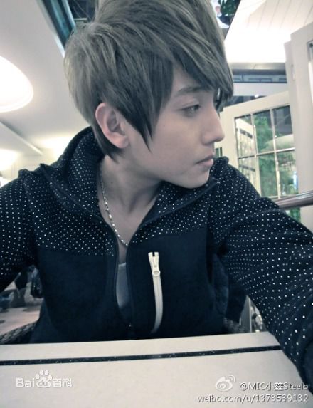 赵泳鑫(Steelo)生活照前后照片