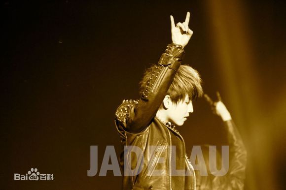 最新赵泳鑫(Steelo)在演唱会《X Party》中的图集