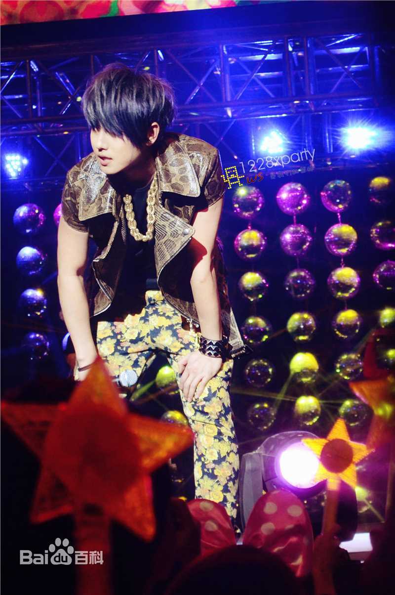 最新赵泳鑫(Steelo)在演唱会《X Party》中的图集