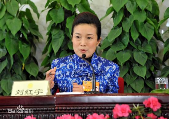 刘红宇前后照片