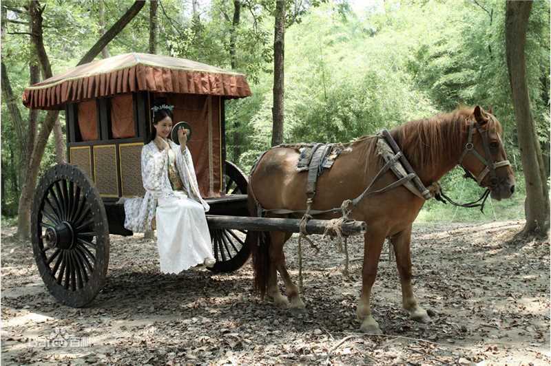 陆梅芳(FangFang)大唐女将樊梨花生活照