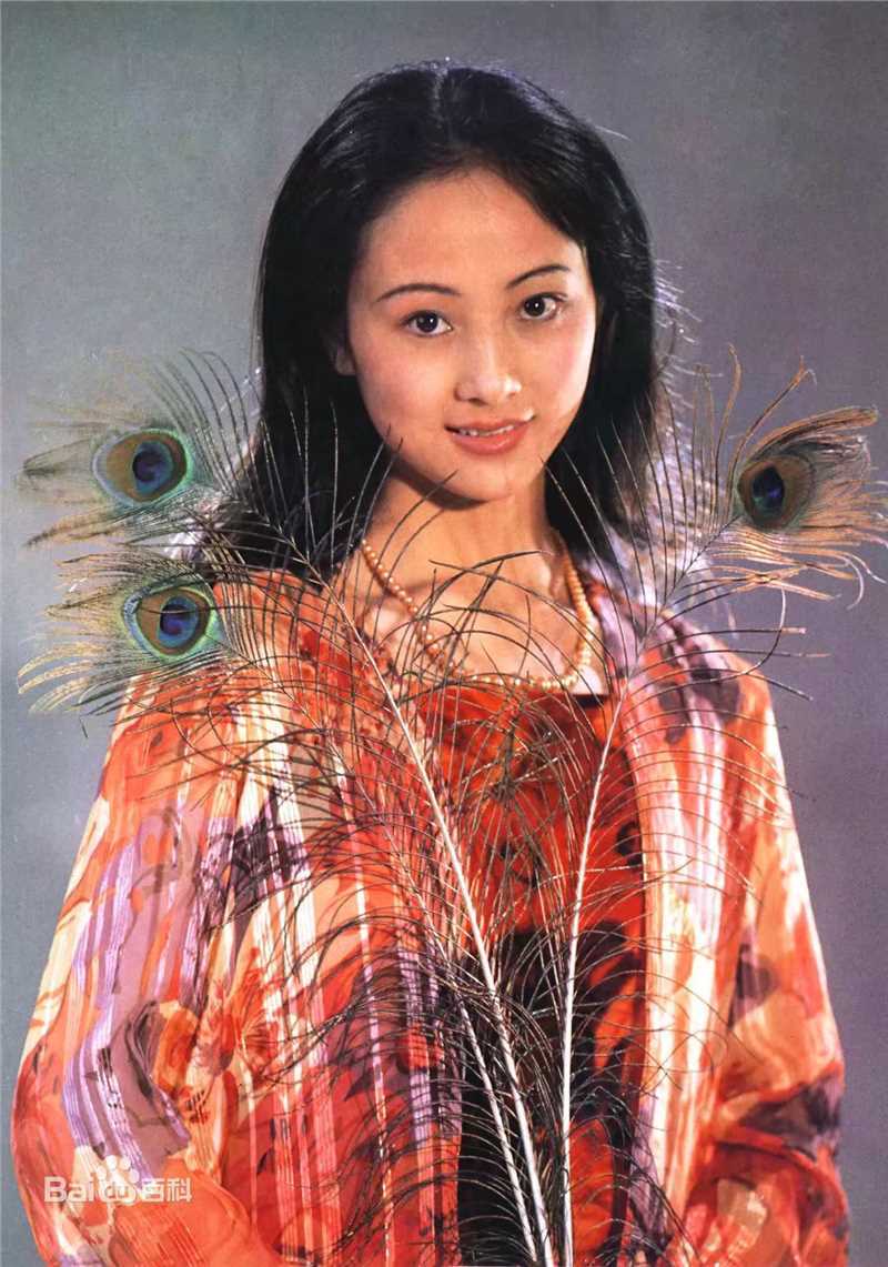 董智芝概述图册壁纸壁纸