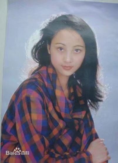 董智芝概述图册壁纸壁纸