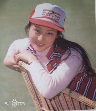 董智芝概述图册壁纸壁纸