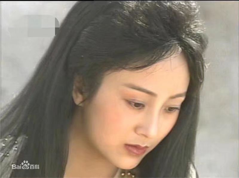 董智芝概述图册壁纸壁纸