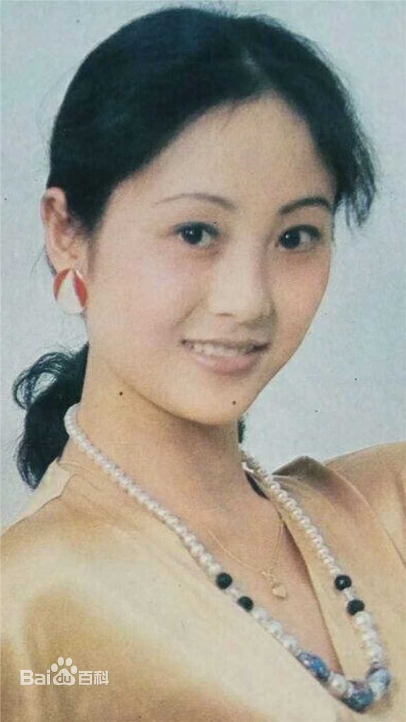 董智芝概述图册壁纸壁纸