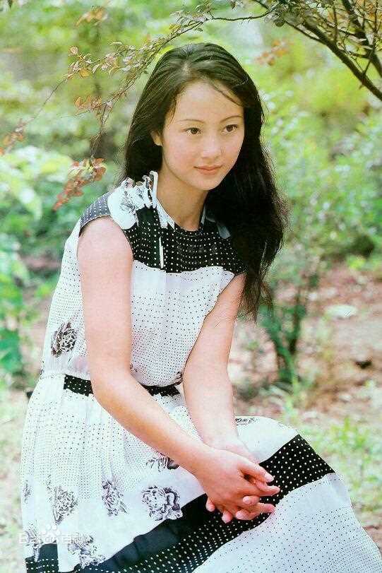 董智芝概述图册壁纸壁纸