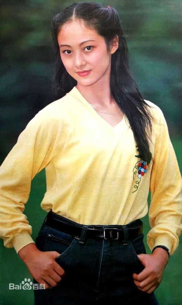 董智芝概述图册壁纸壁纸