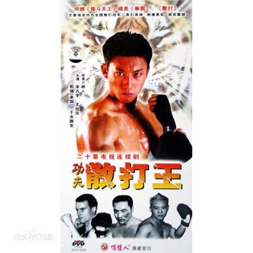 王丝菲功夫散打网最全剧照