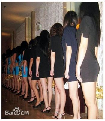 精选杨志卿图片