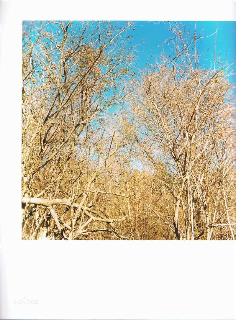 最优质高良健吾(こうら けんご)精彩图册