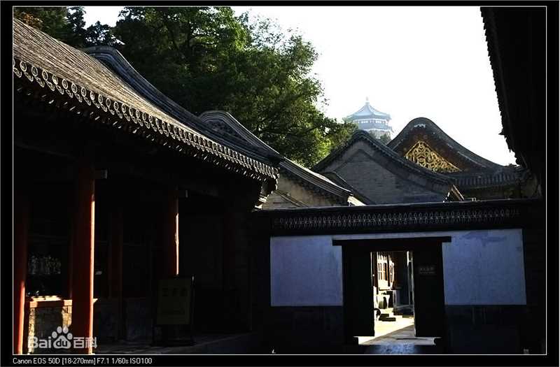 最新刘子菲(cola)壁纸